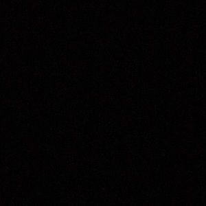 Meet your Posher, Isabella